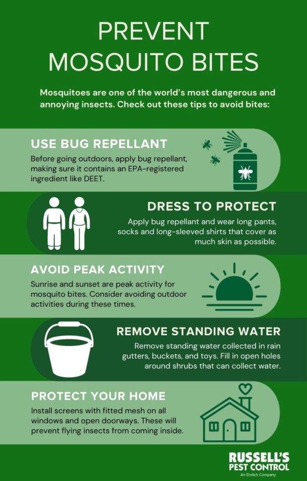 Mosquito Bite Prevention and Treatment | Prevent Mosquito Bites